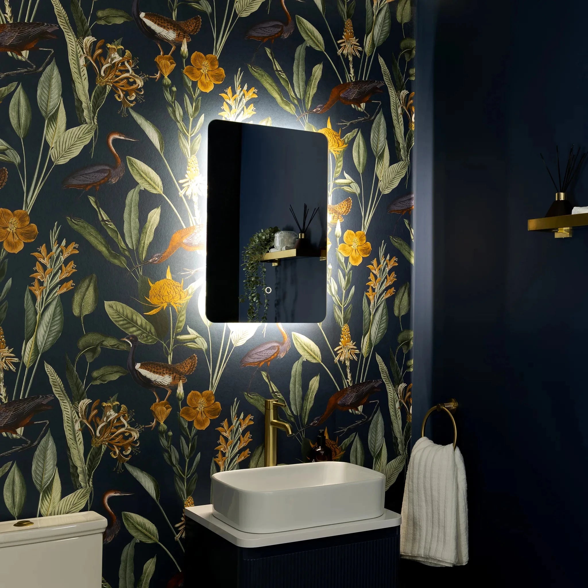 Savannah Curve Backlit LED Bathroom Mirror #size_400mm-x-600mm