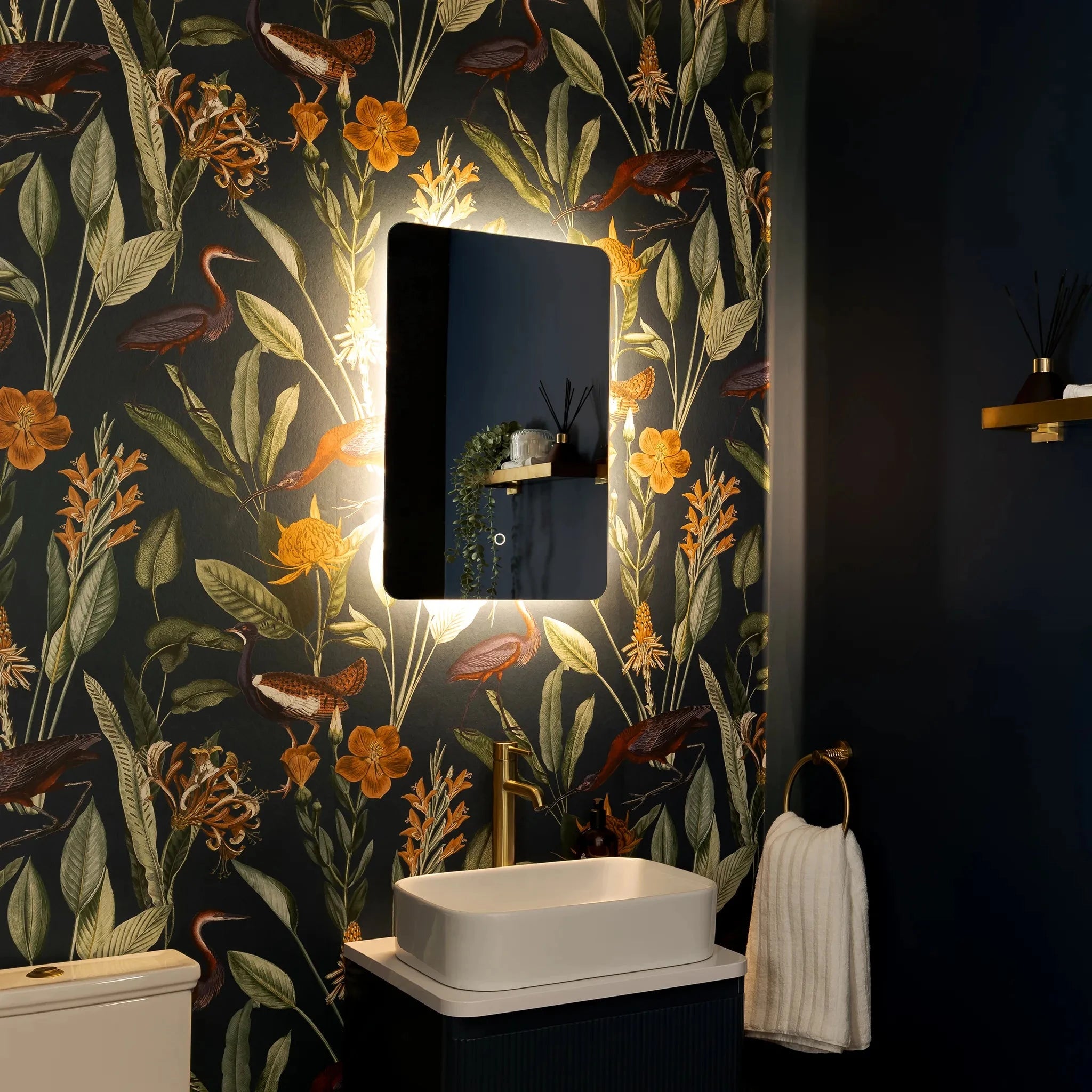 Savannah Curve Backlit LED Bathroom Mirror #size_400mm-x-600mm