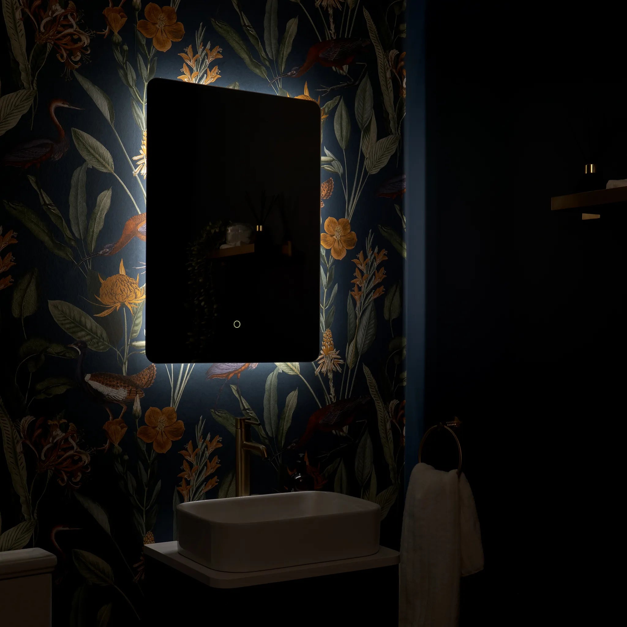 Savannah Curve Backlit LED Bathroom Mirror #size_500mm-x-700mm