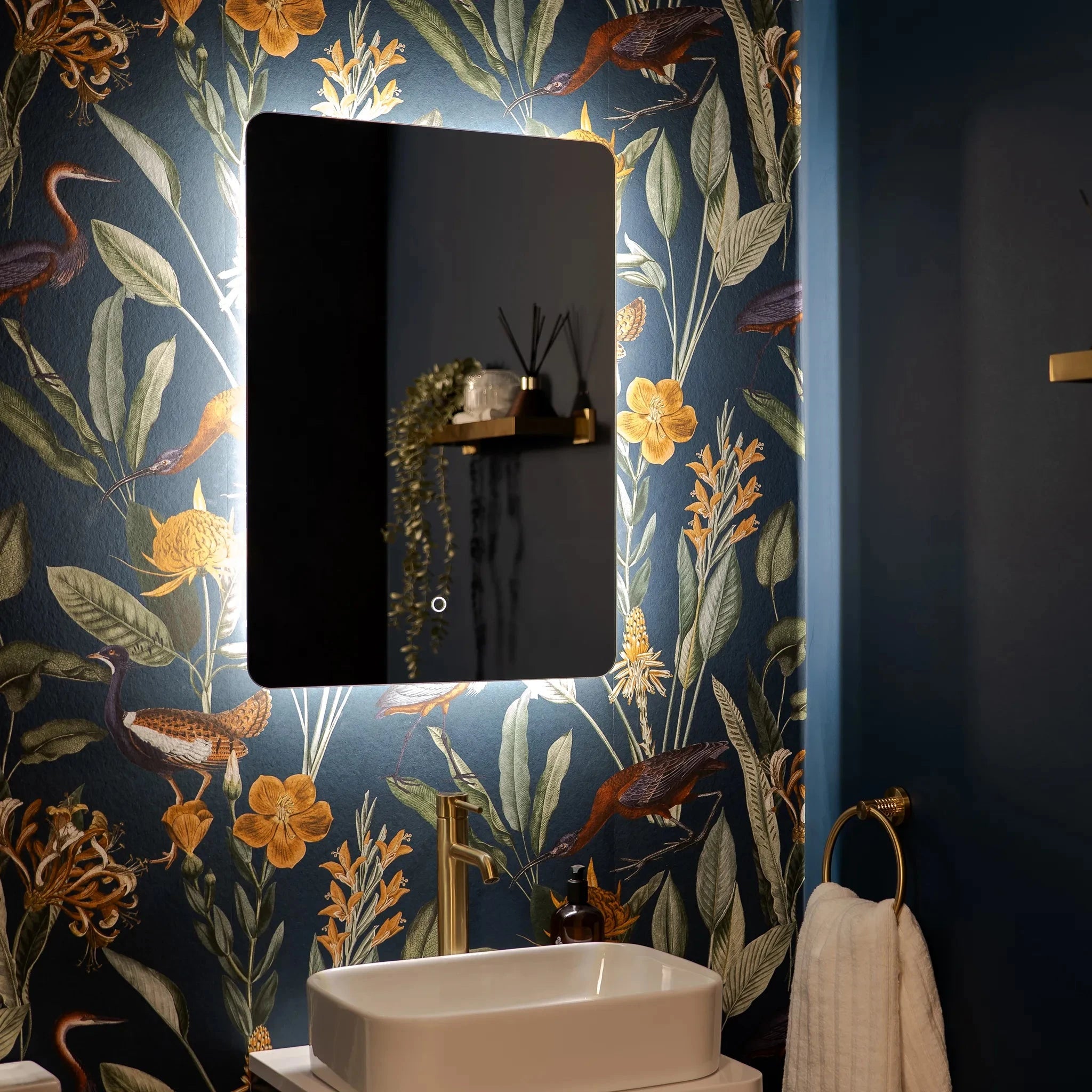 Savannah Curve Backlit LED Bathroom Mirror #size_500mm-x-700mm