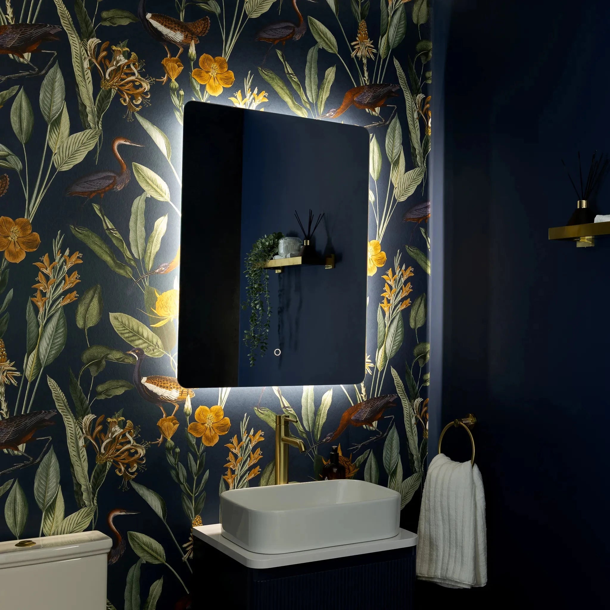 Savannah Curve Backlit LED Bathroom Mirror #size_600mm-x-800mm