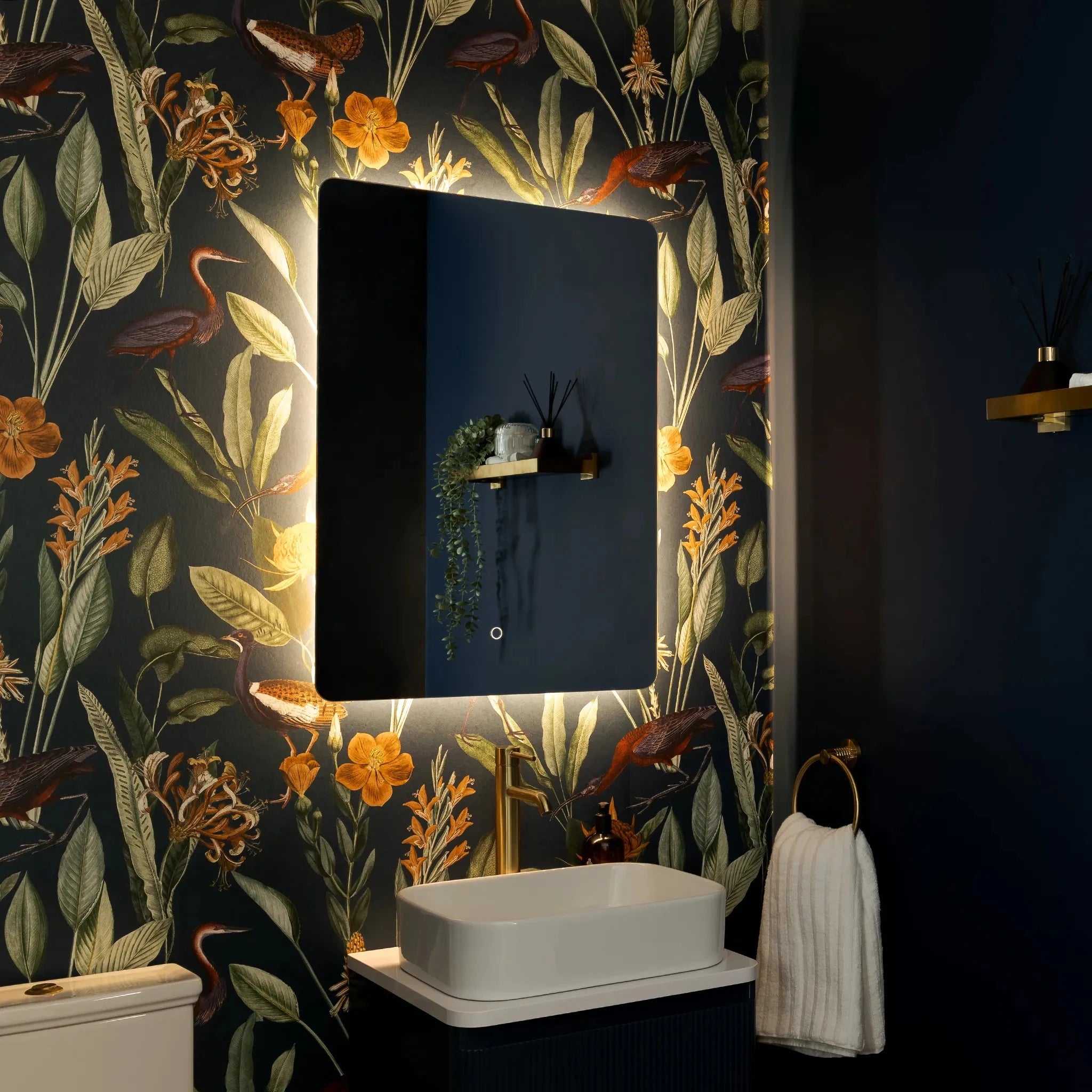 Savannah Curve Backlit LED Bathroom Mirror #size_600mm-x-800mm
