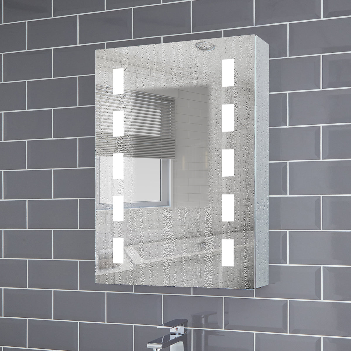 Renee 500x700mm LED Bathroom Mirror Cabinet