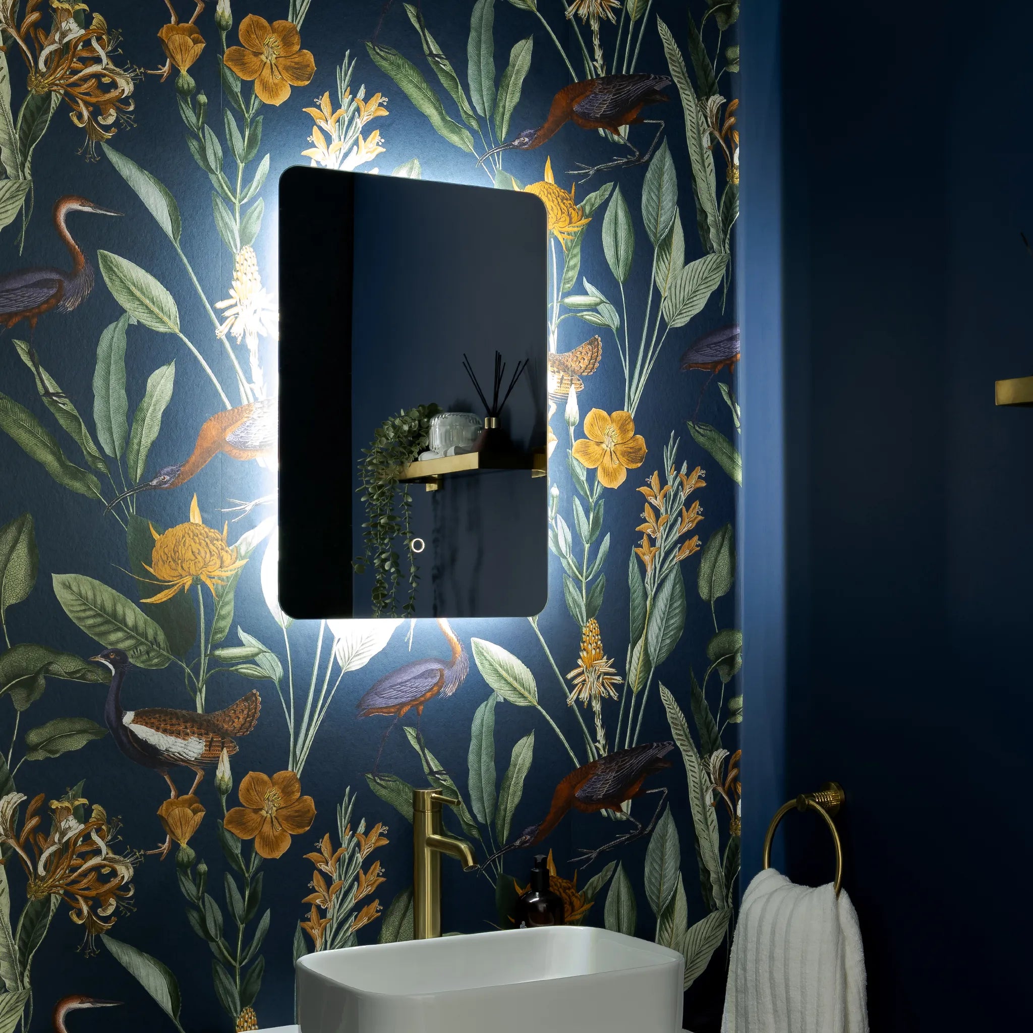 Savannah Curve Backlit LED Bathroom Mirror #size_400mm-x-600mm