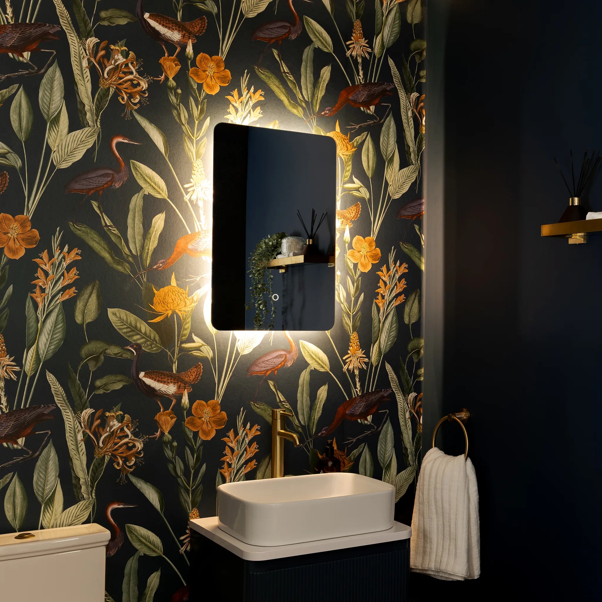 Savannah Curve Backlit LED Bathroom Mirror #size_400mm-x-600mm