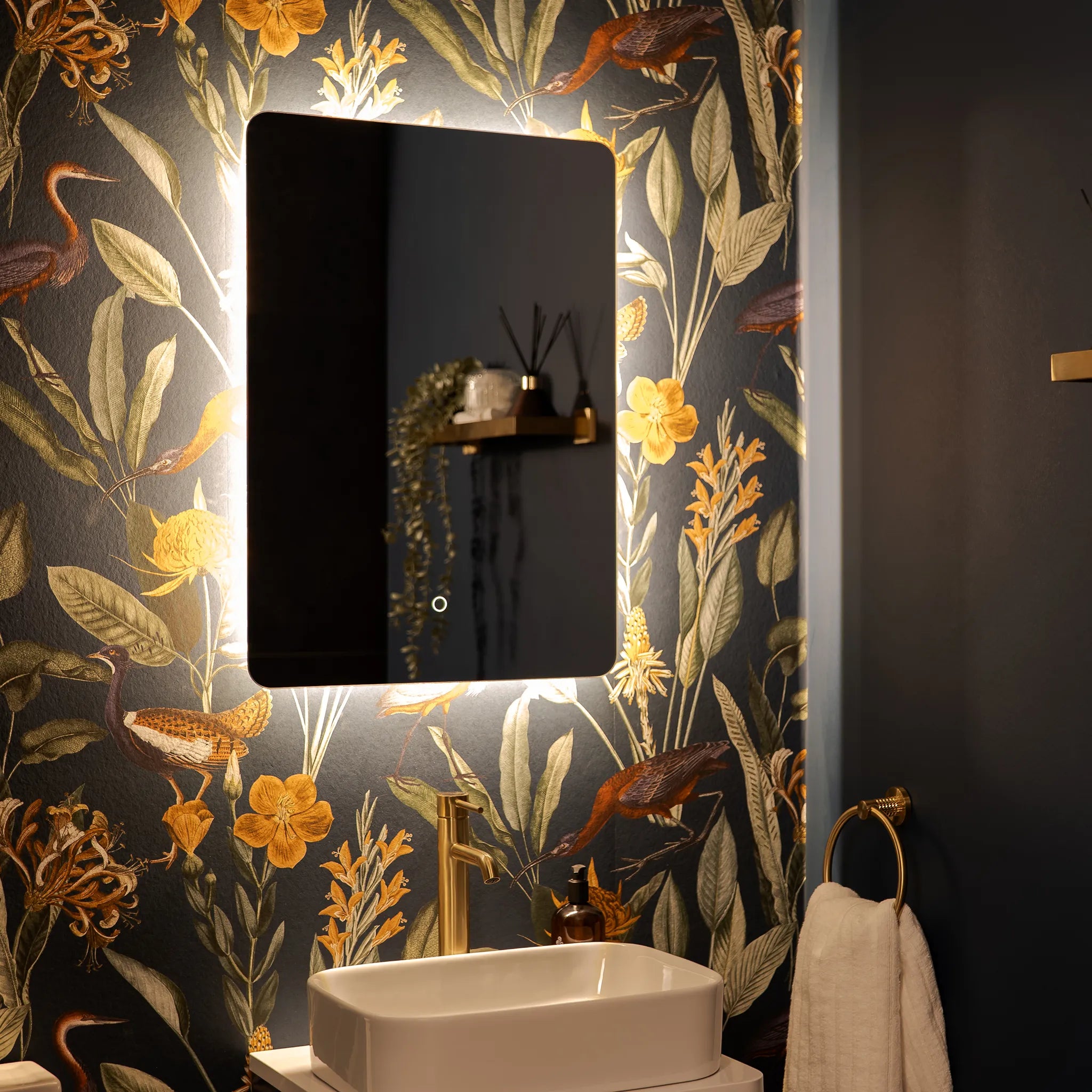 Savannah Curve Backlit LED Bathroom Mirror #size_500mm-x-700mm