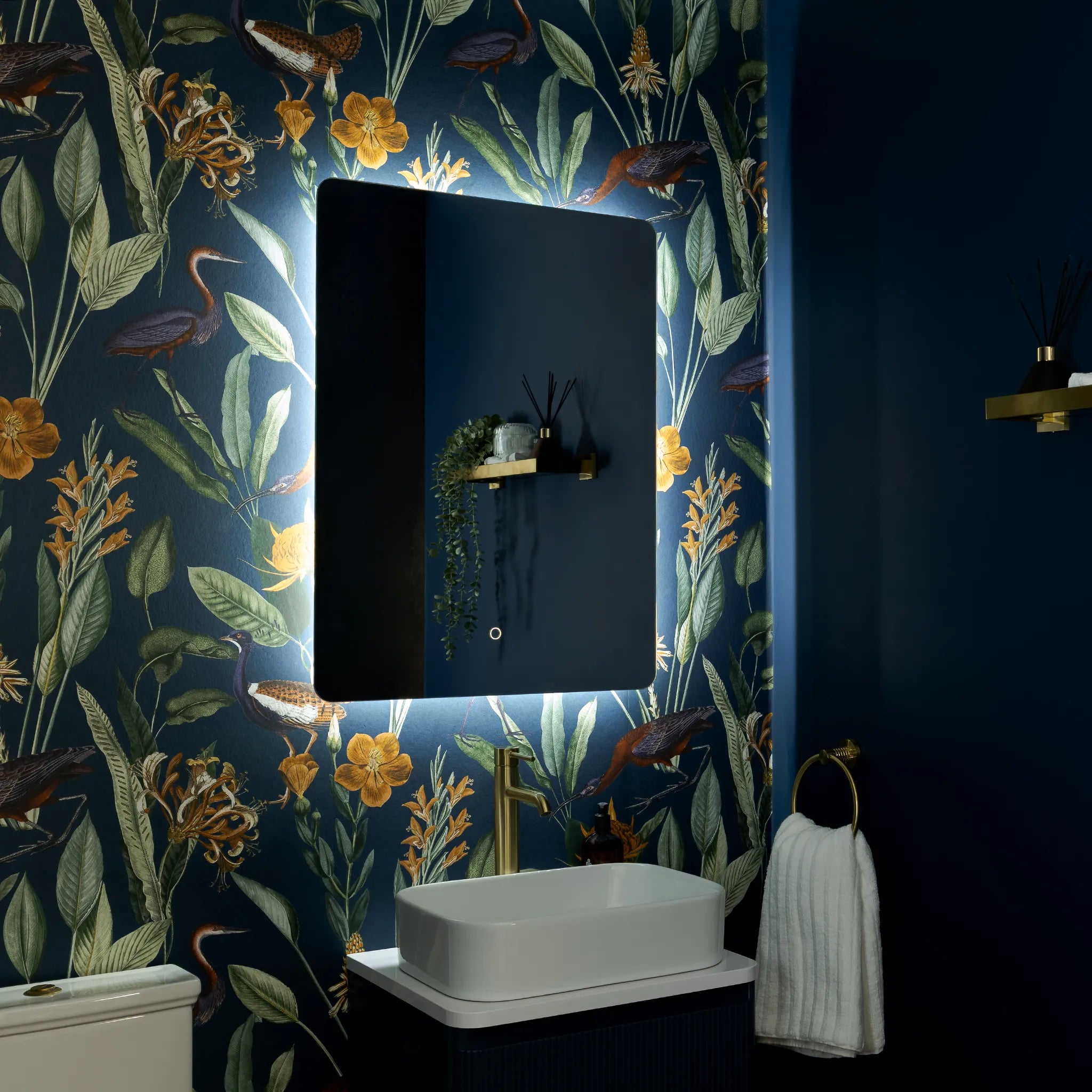 Savannah Curve Backlit LED Bathroom Mirror #size_600mm-x-800mm