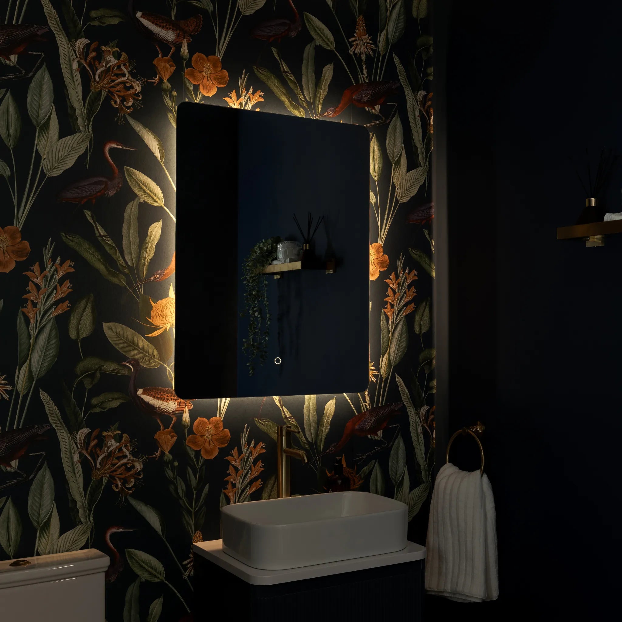 Savannah Curve Backlit LED Bathroom Mirror #size_600mm-x-800mm