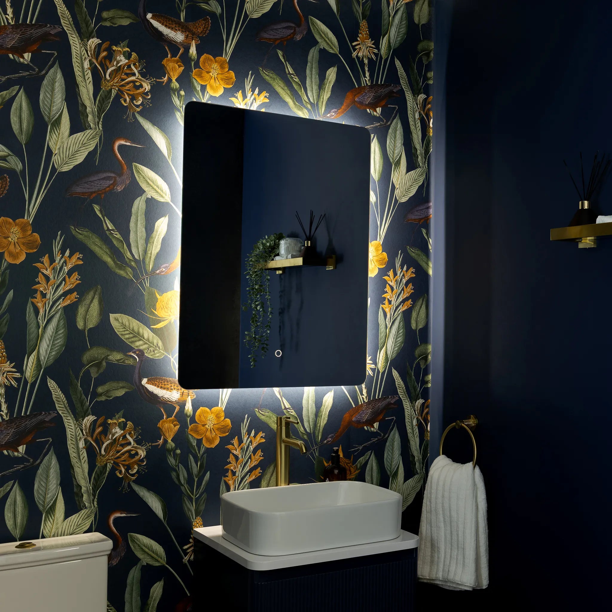 Savannah Curve Backlit LED Bathroom Mirror #size_600mm-x-800mm