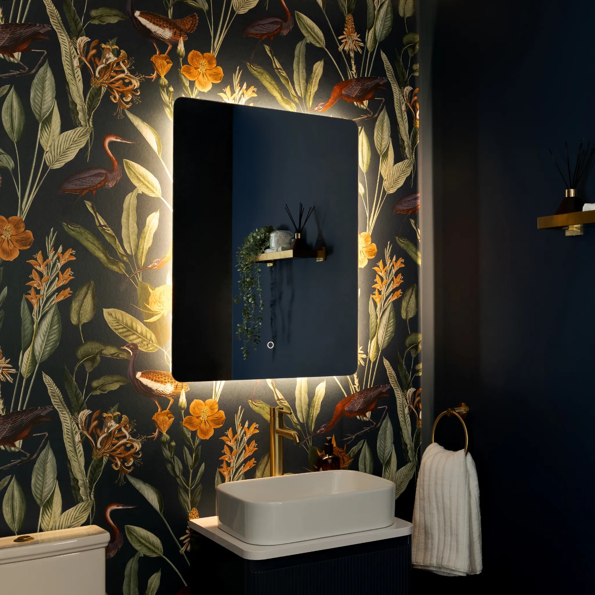 Savannah Curve Backlit LED Bathroom Mirror #size_600mm-x-800mm