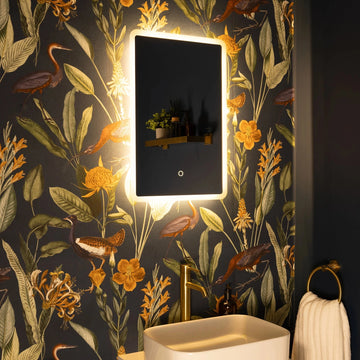 Glendale Curve LED Bathroom Mirror #size_400mm-x-600mm