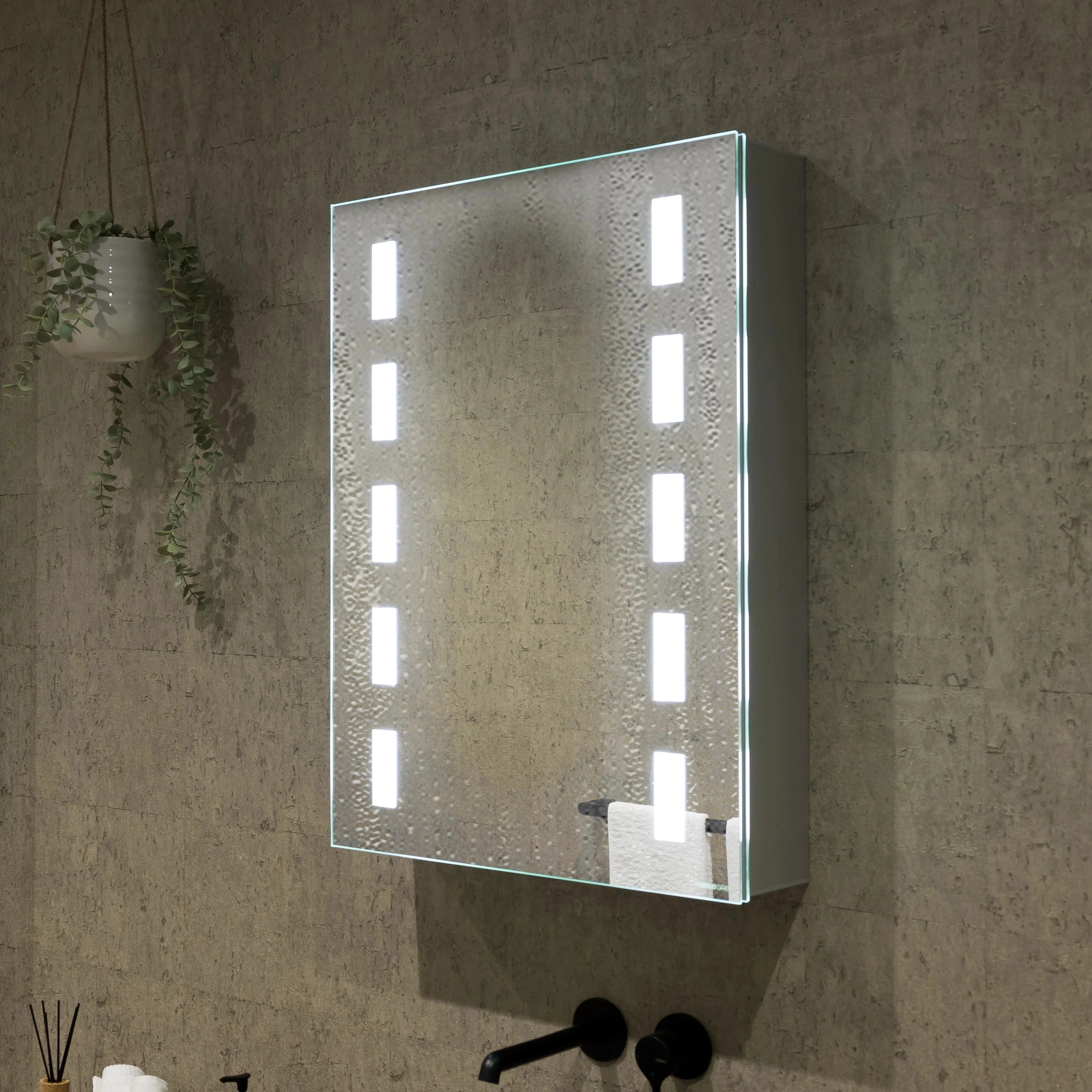 Renee 500x700mm LED Bathroom Mirror Cabinet