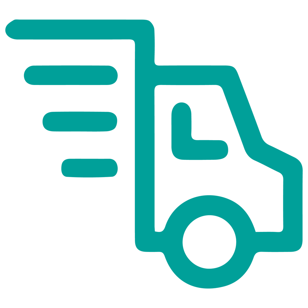 next day delivery icon