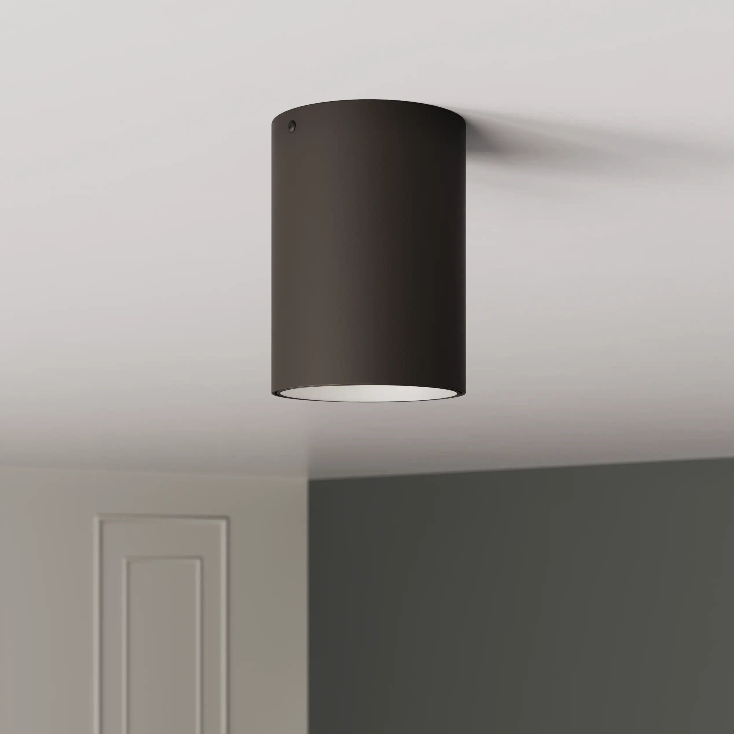 Vivid Ceiling Light