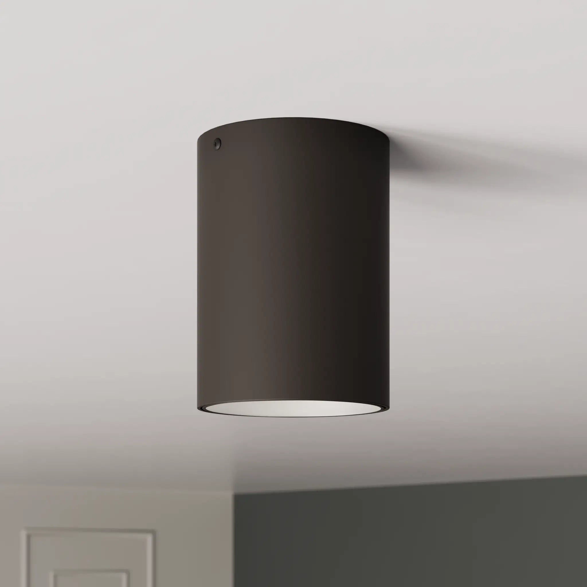 Vivid Ceiling Light