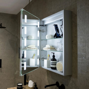 Renee 500x700mm LED Bathroom Mirror Cabinet